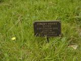 image of grave number 420516